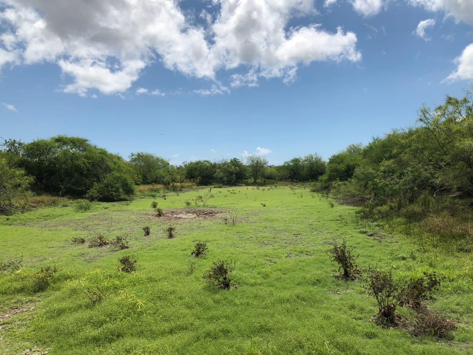 a person sitting in a yellow boat on a river