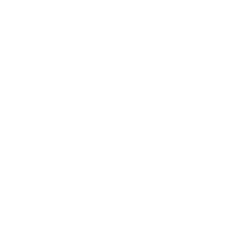 Icône représentant une antenne de signal sans fil.