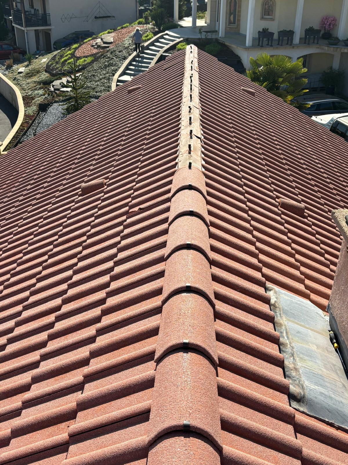 Remplacement de tuiles cassées, colmatage de fuites, etc à Metz