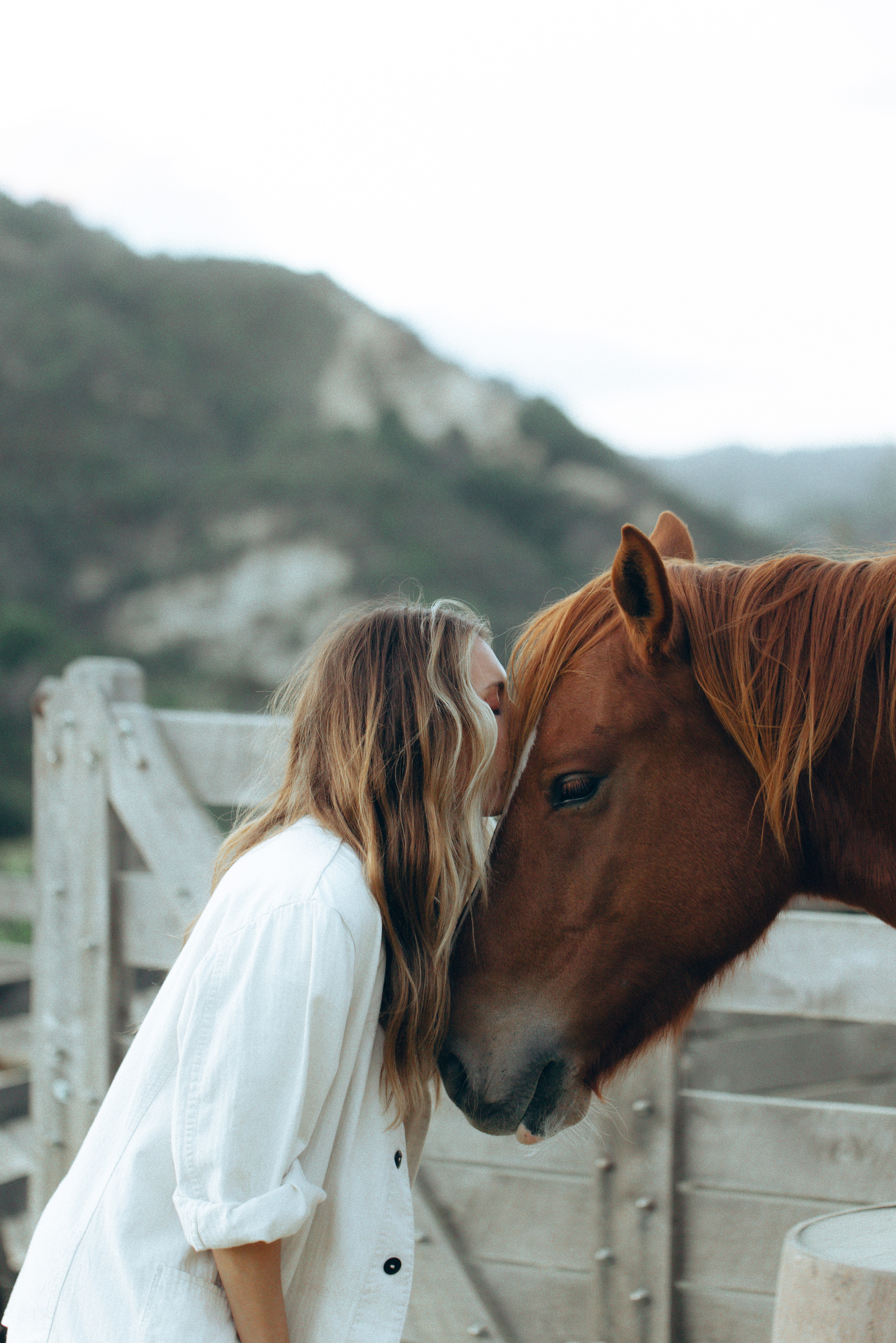 about slider image 1