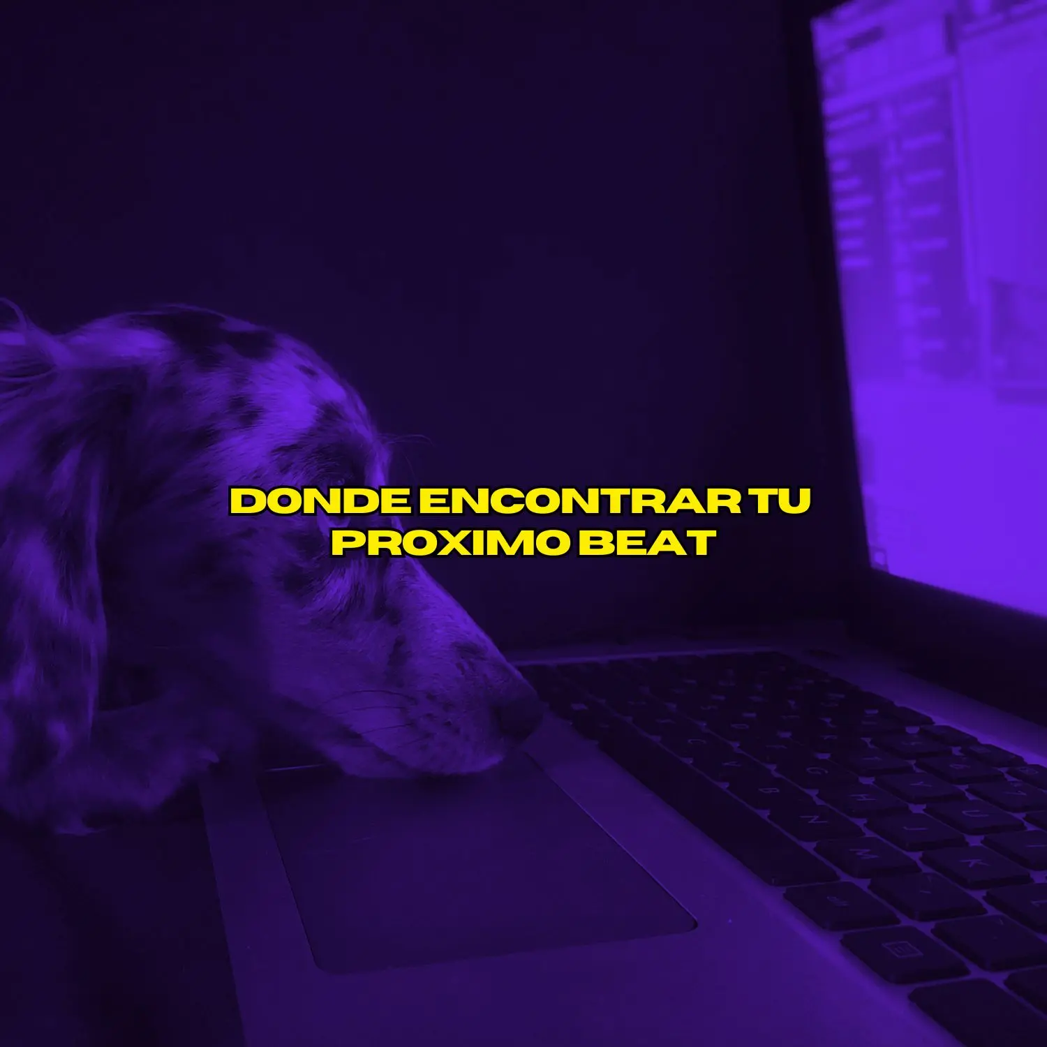 como encontrar beats de reggaeton