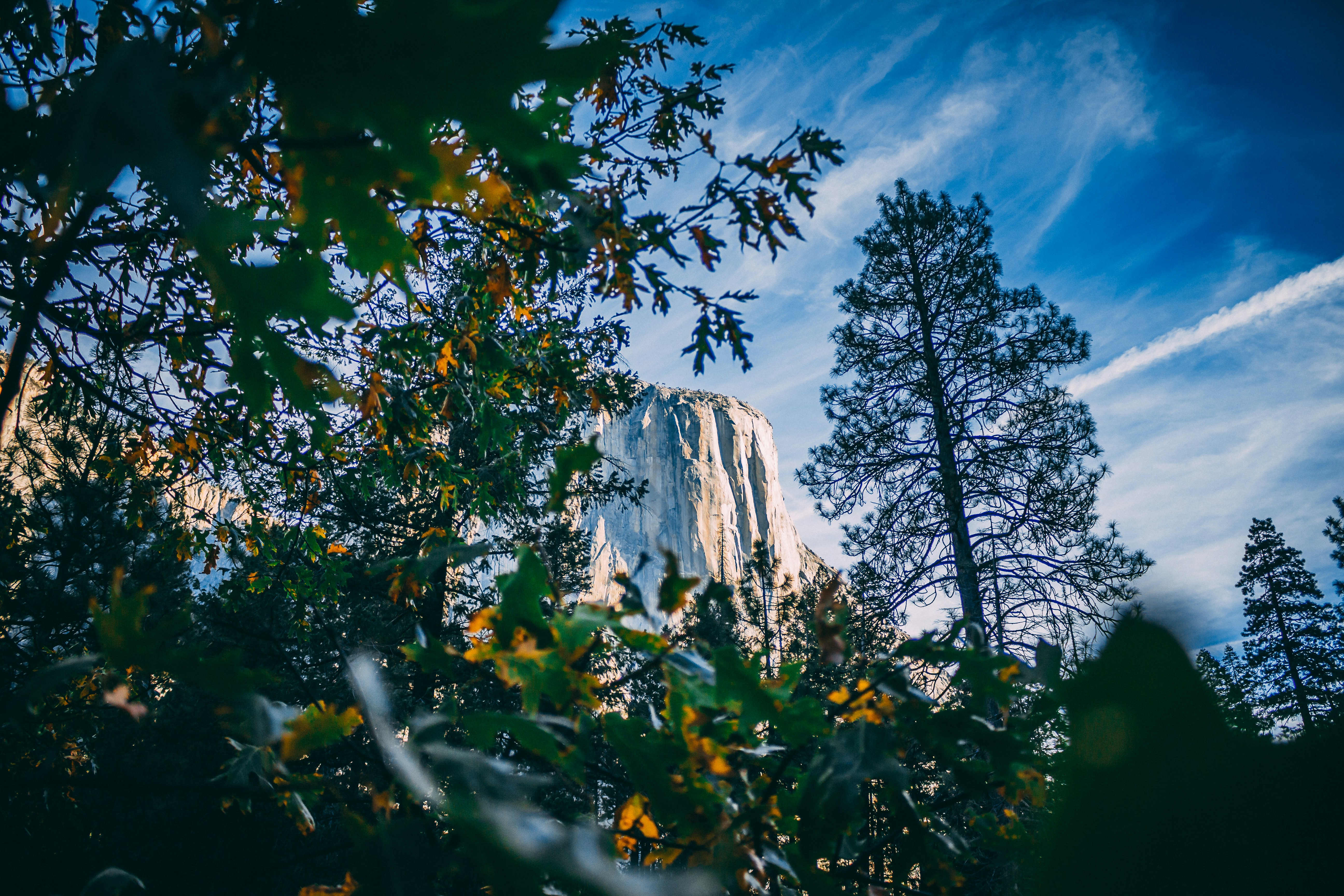 El Capitan Mountain in Yosemite National Park shot from the bottom 