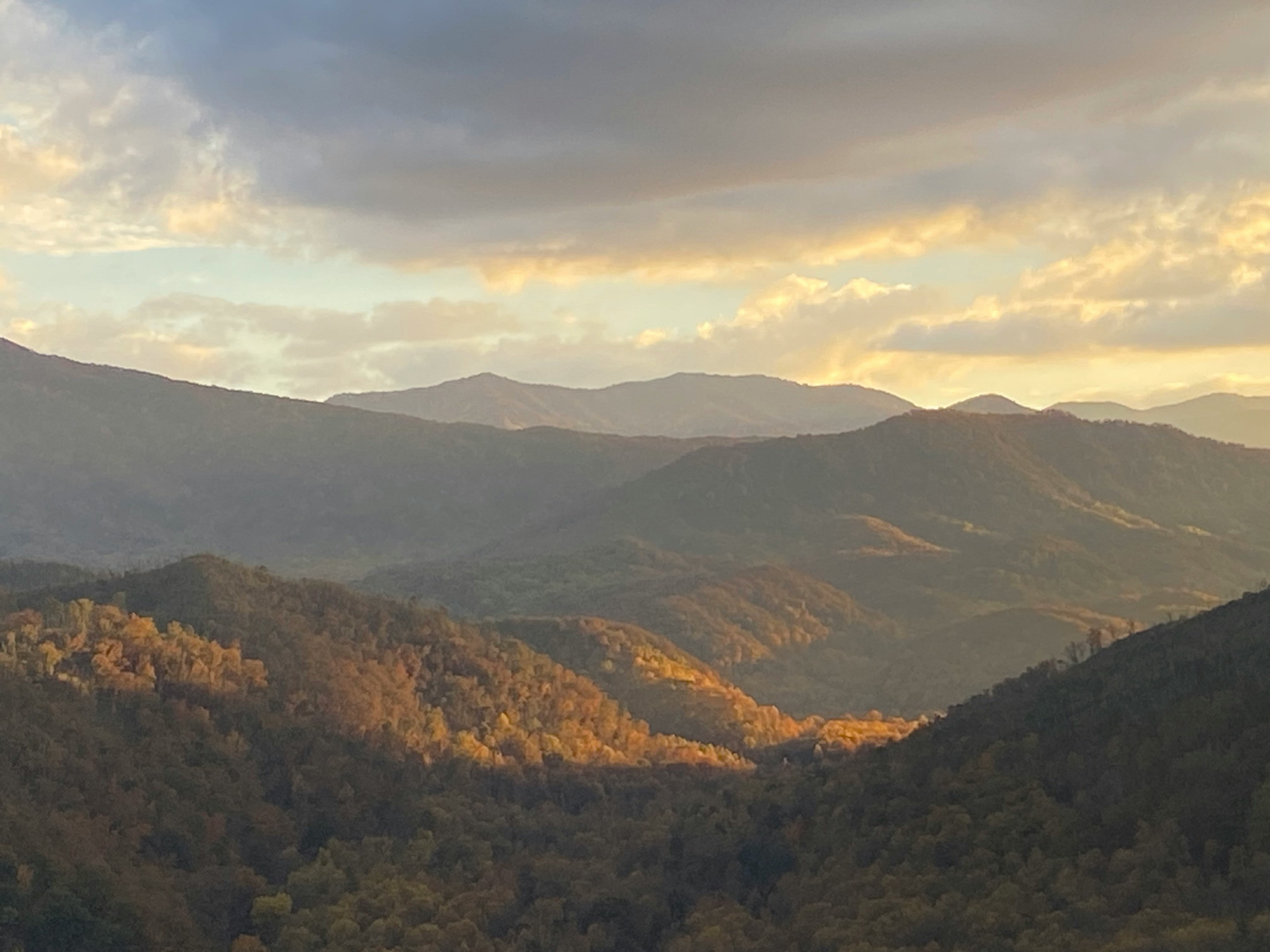 a view of a mountain range with trees in the foreground