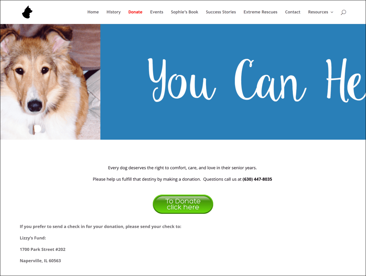 Website donate page screenshot