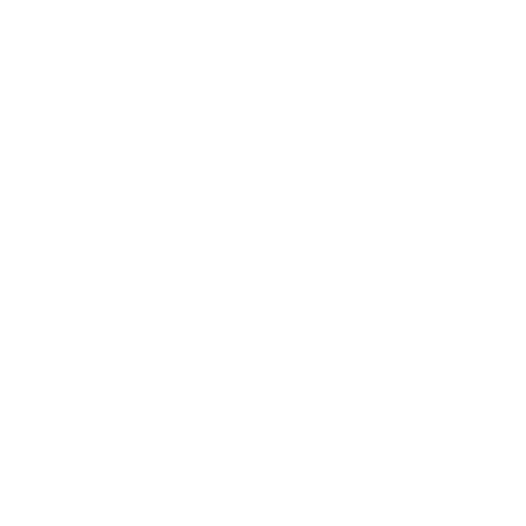Logo de Racquet Link