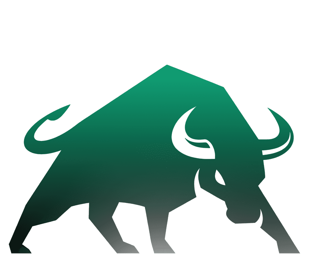 Deepstack Logo