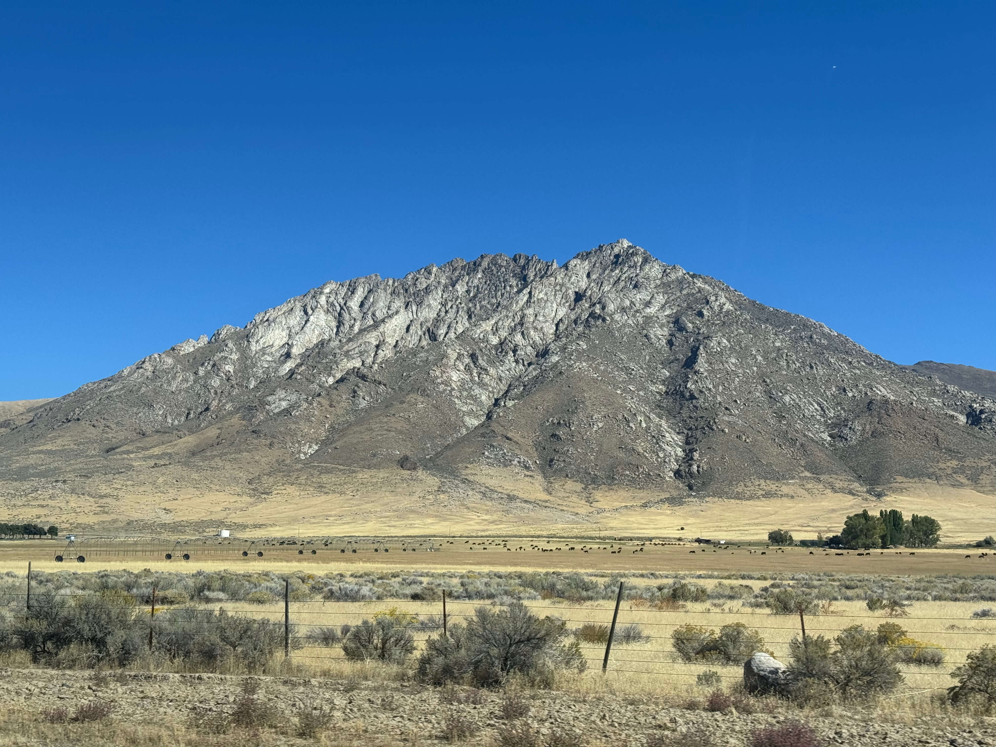 Woman Wearing Sunglasses