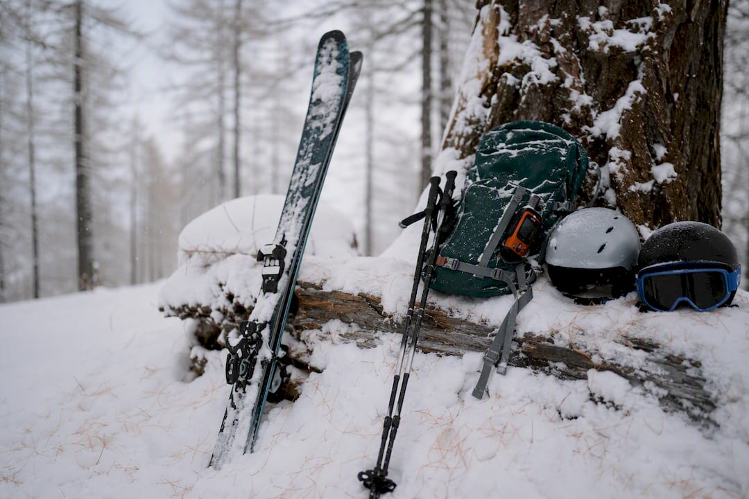 Avalanche safety equipment attached to a larch tree in a snowy forest