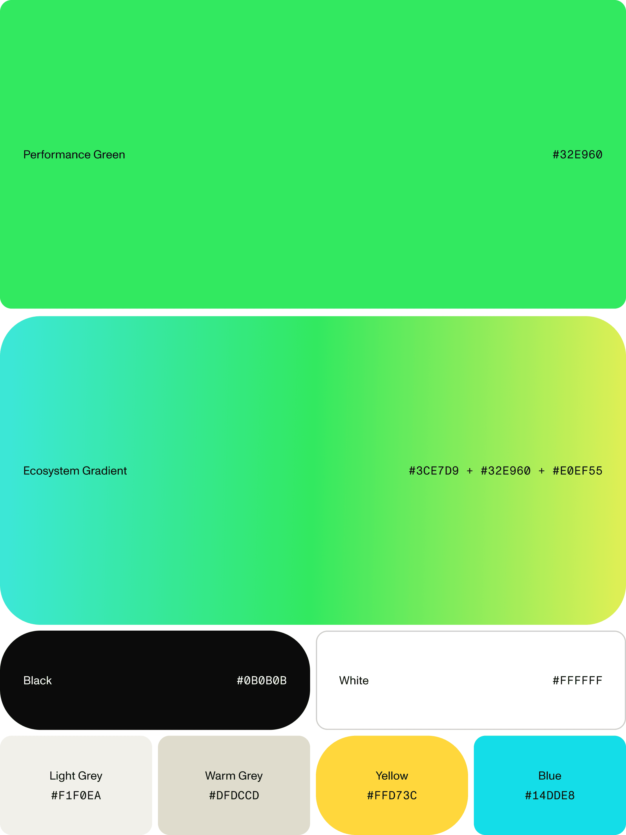 Color Palette