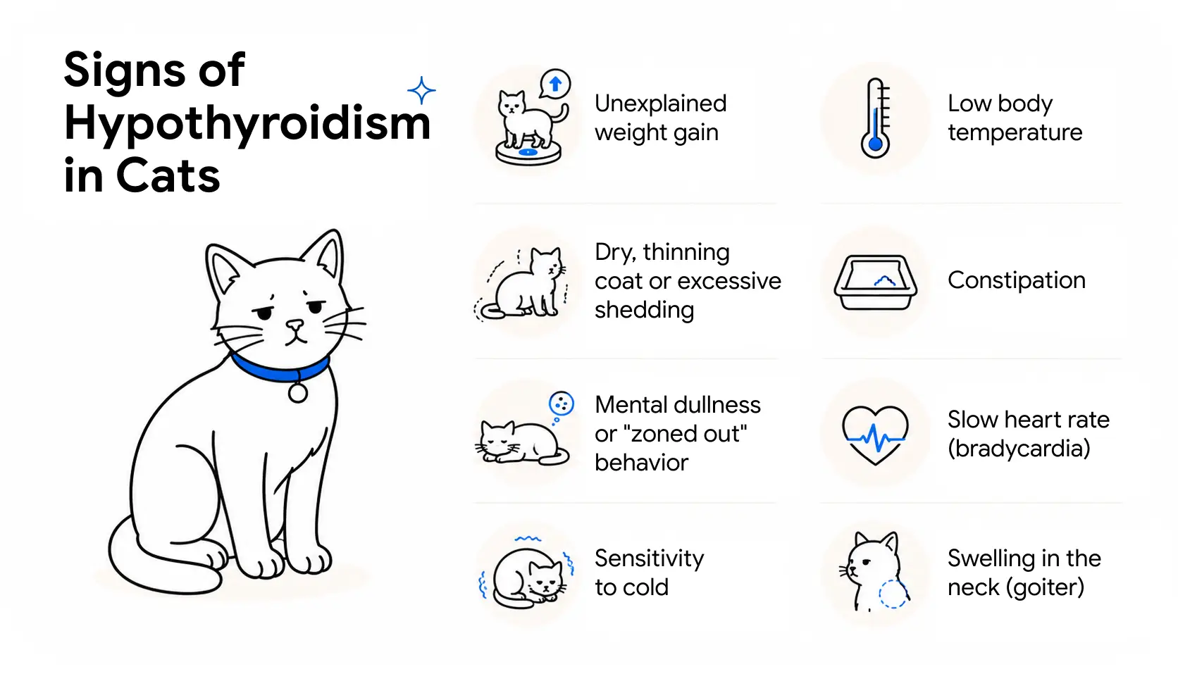 An image showing the symptoms of hypothyroidism in cats.