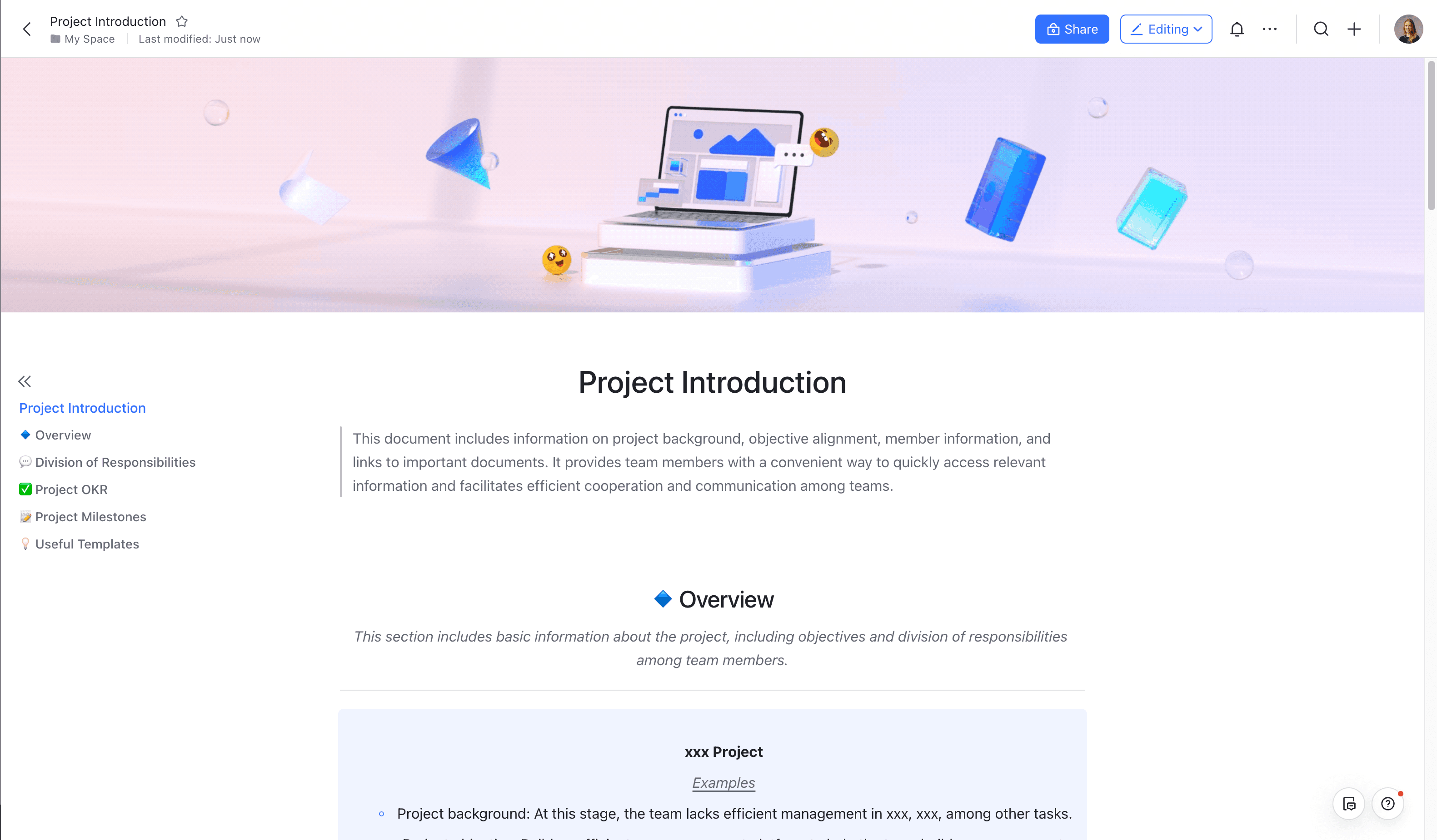 project introduction images