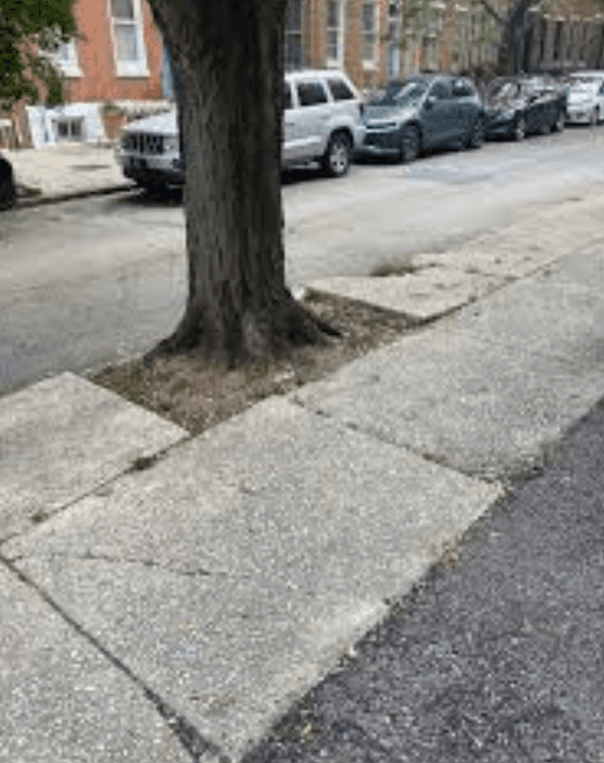 Tree roots brekaing up sidewalk
