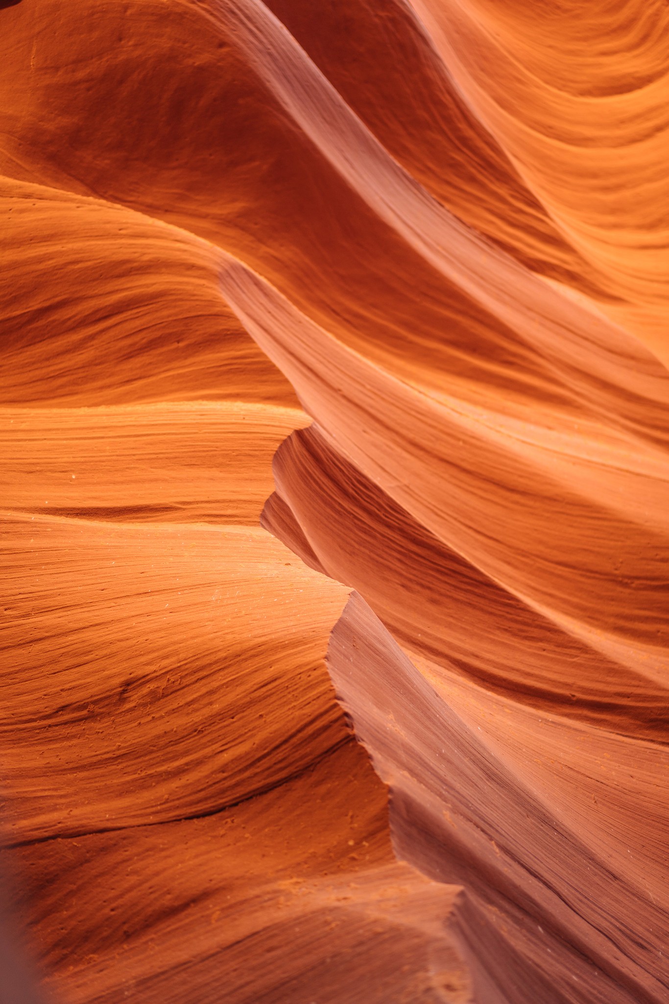 image of a woman on a trail