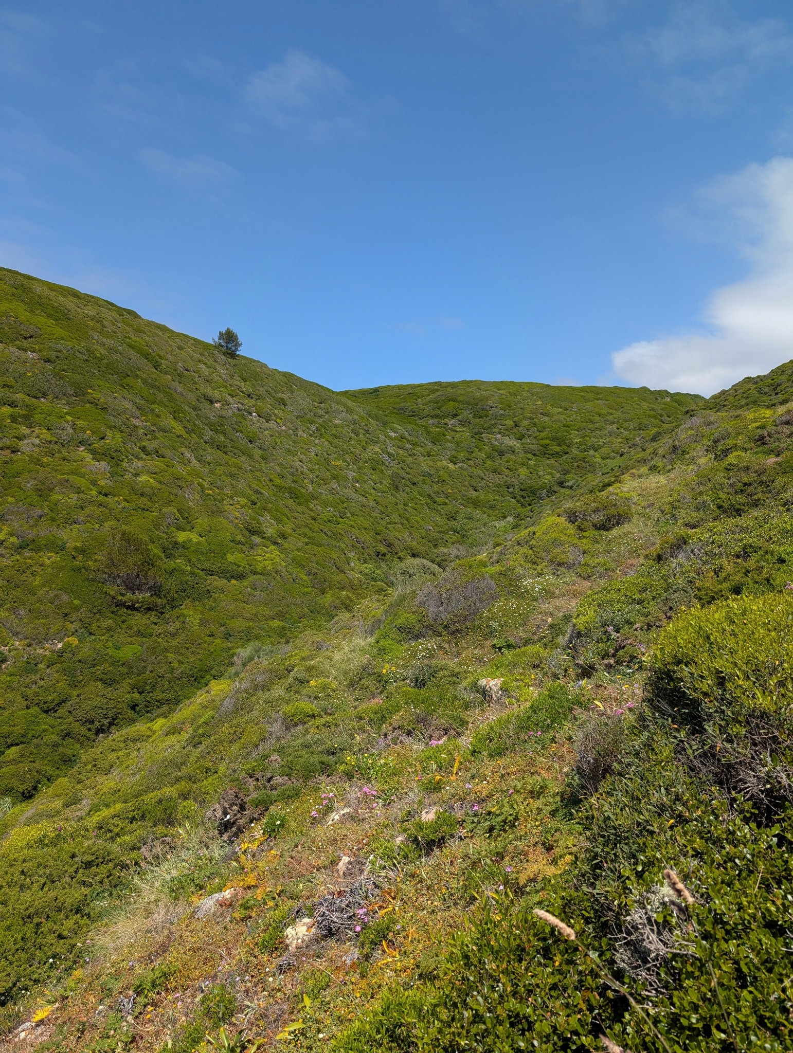 mockup: mixmaster edit ingredients and recipe screens