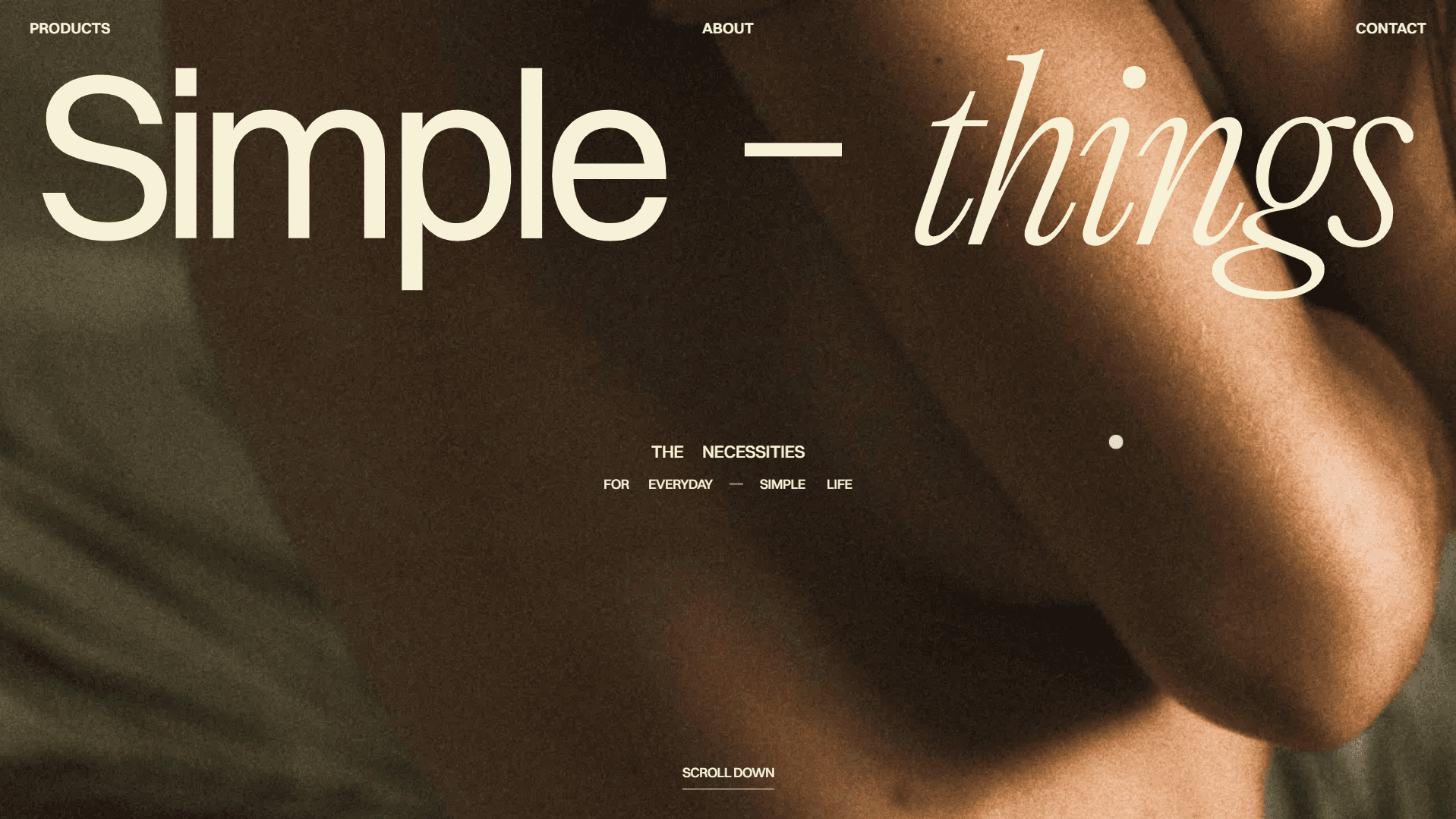 simple things project snapshot