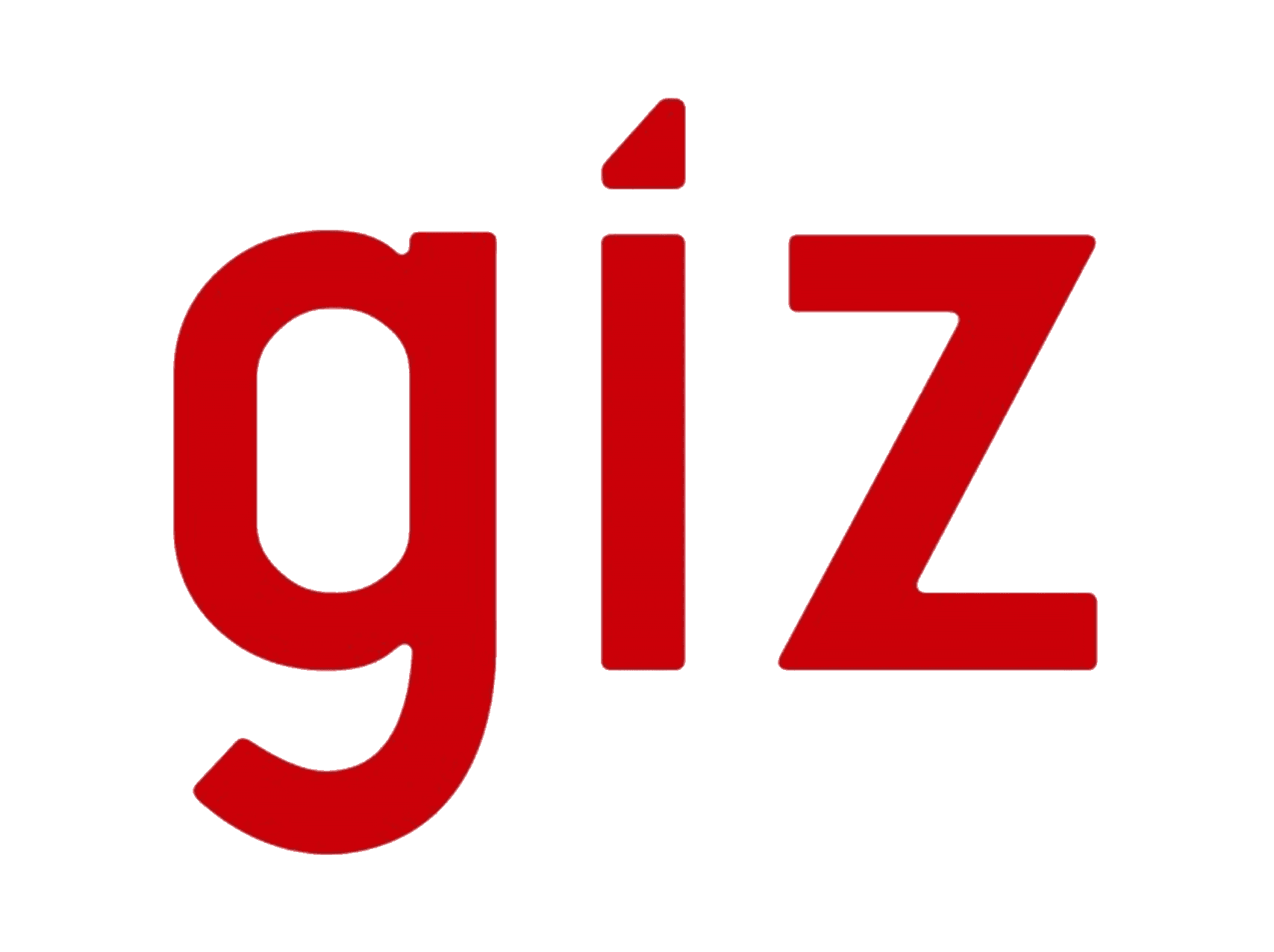 Deutsche Gesellschaft für Internationale Zusammenarbeit logo.