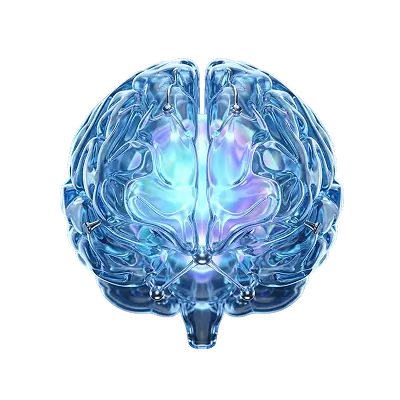 Transparent glowing glass brain model