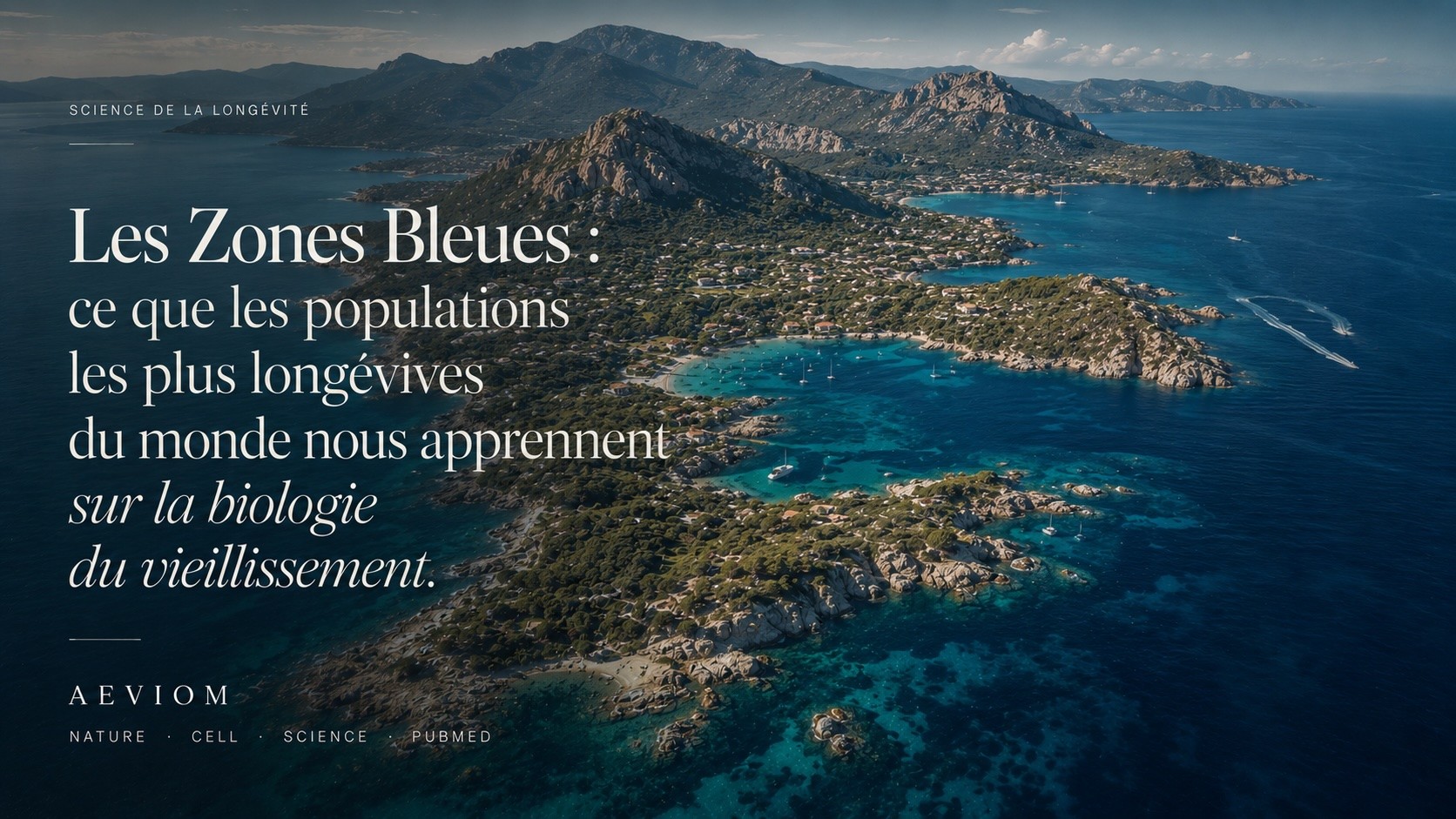 Certaines populations vivent significativement plus longtemps — et souvent en meilleure santé. Sardaigne, Okinawa, Ikaria, Nicoya : derrière ces territoires devenus emblématiques se cachent des interactions complexes entre métabolisme, inflammation, rythme de vie, nutrition et environnement.