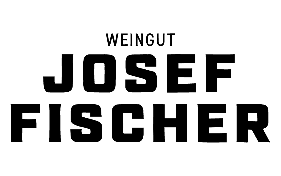 Hazendal Wordmark.png