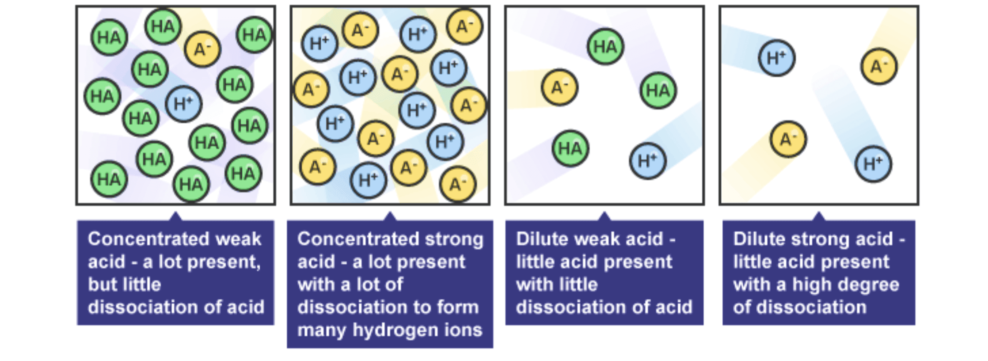 Modelling The Differences Between Strong Weak Concentrated And Modelling The Differences Between Strong Weak Concentrated And