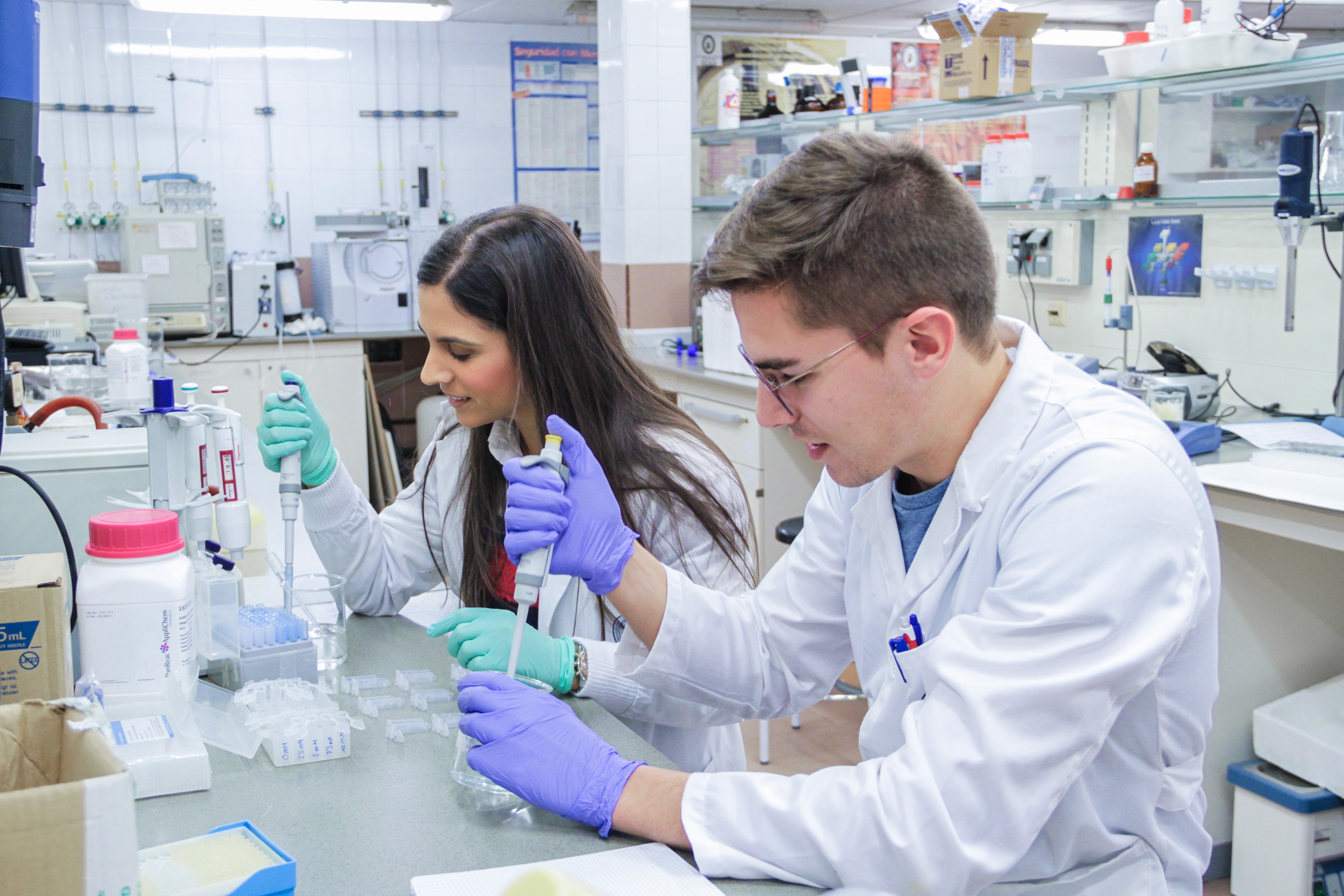 Dos estudiantes realizando prácticas de laboratorio – categoría Estudios