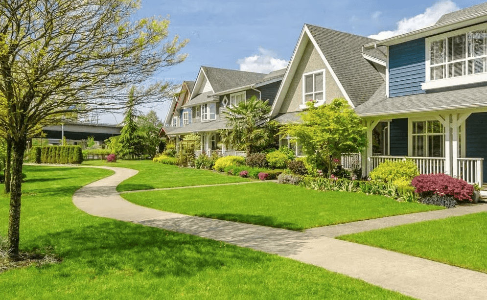 Residential Lawn