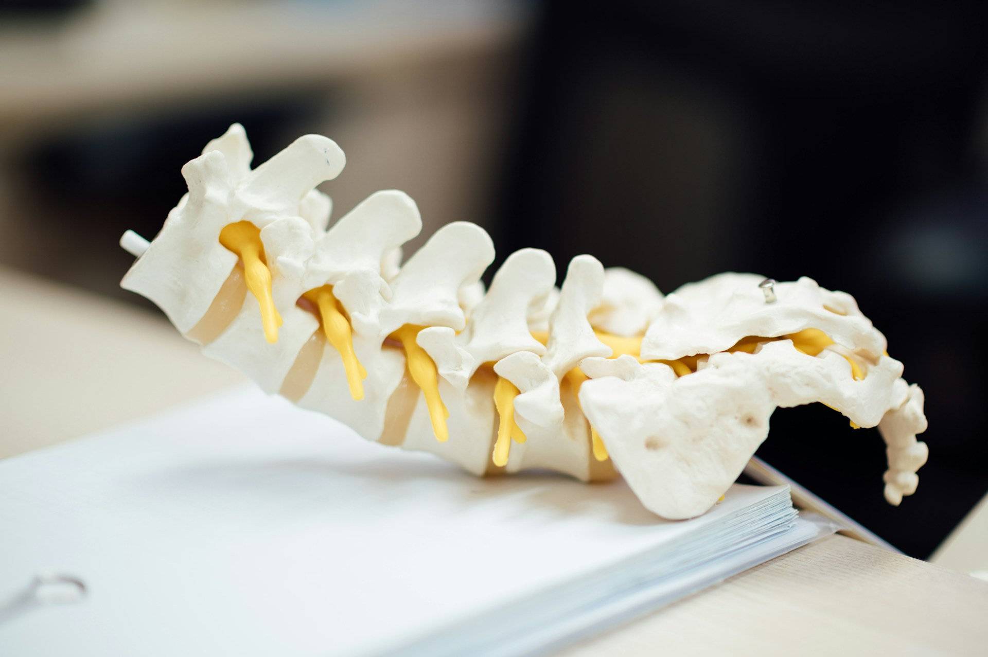 Understanding Spinal Stenosis: How Chiropractic Care Can Help