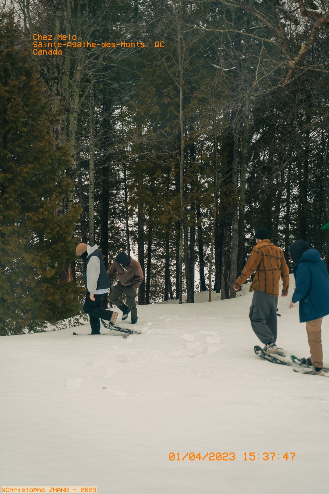 Groupe de personnes en raquettes marchant dans une forêt enneigée à Sainte-Agathe-des-Monts.