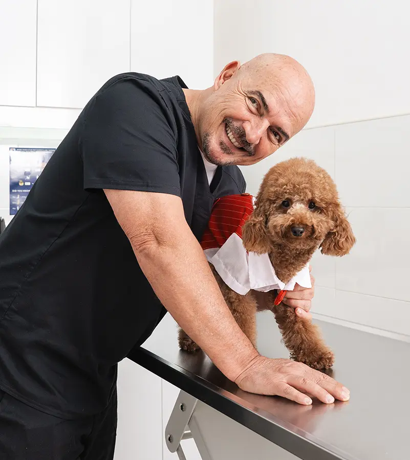 Noble Veterinary Clinics vet gently holding a dog ahead of a same-day dog spay and neuter procedure in Dubai.