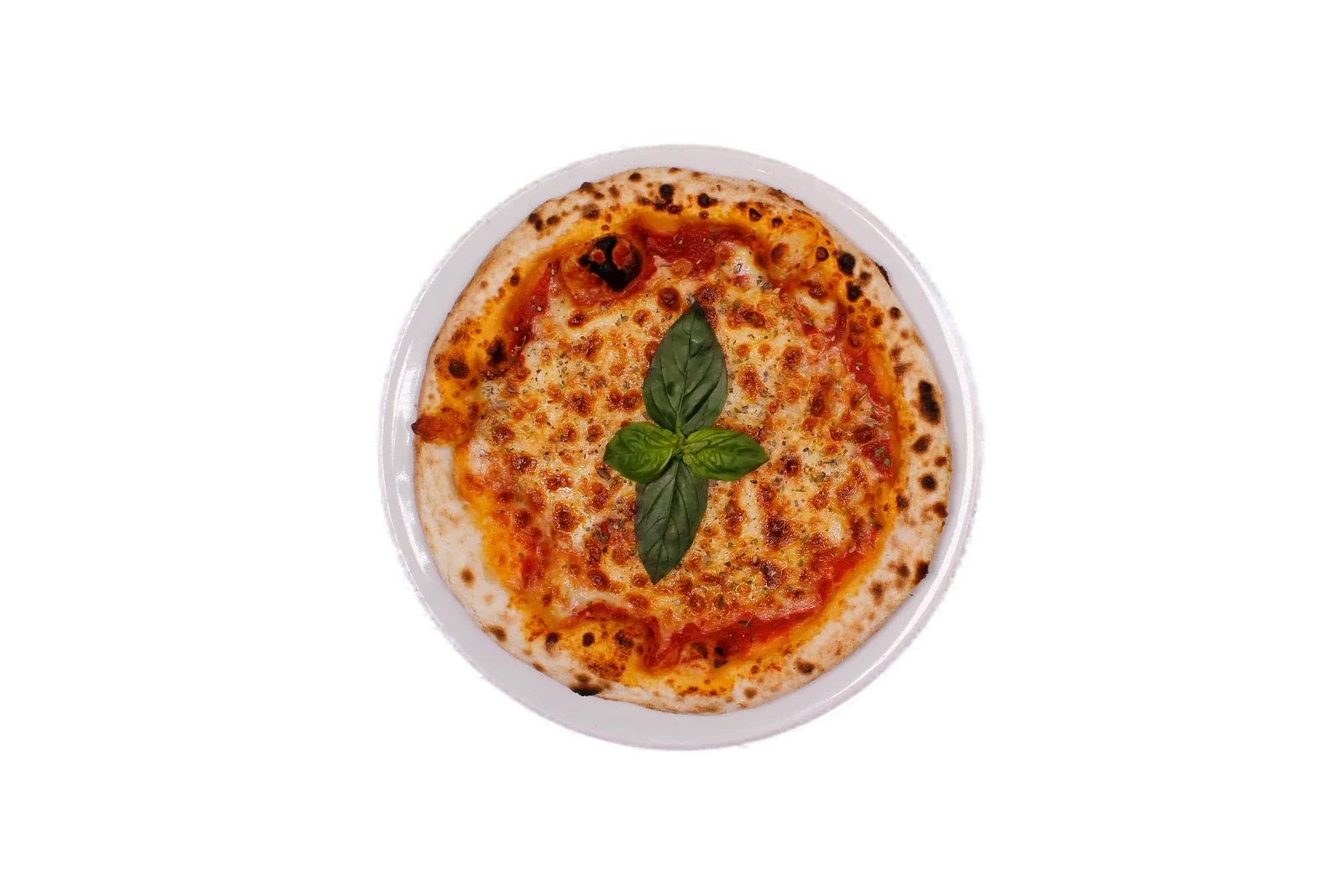 Margherita