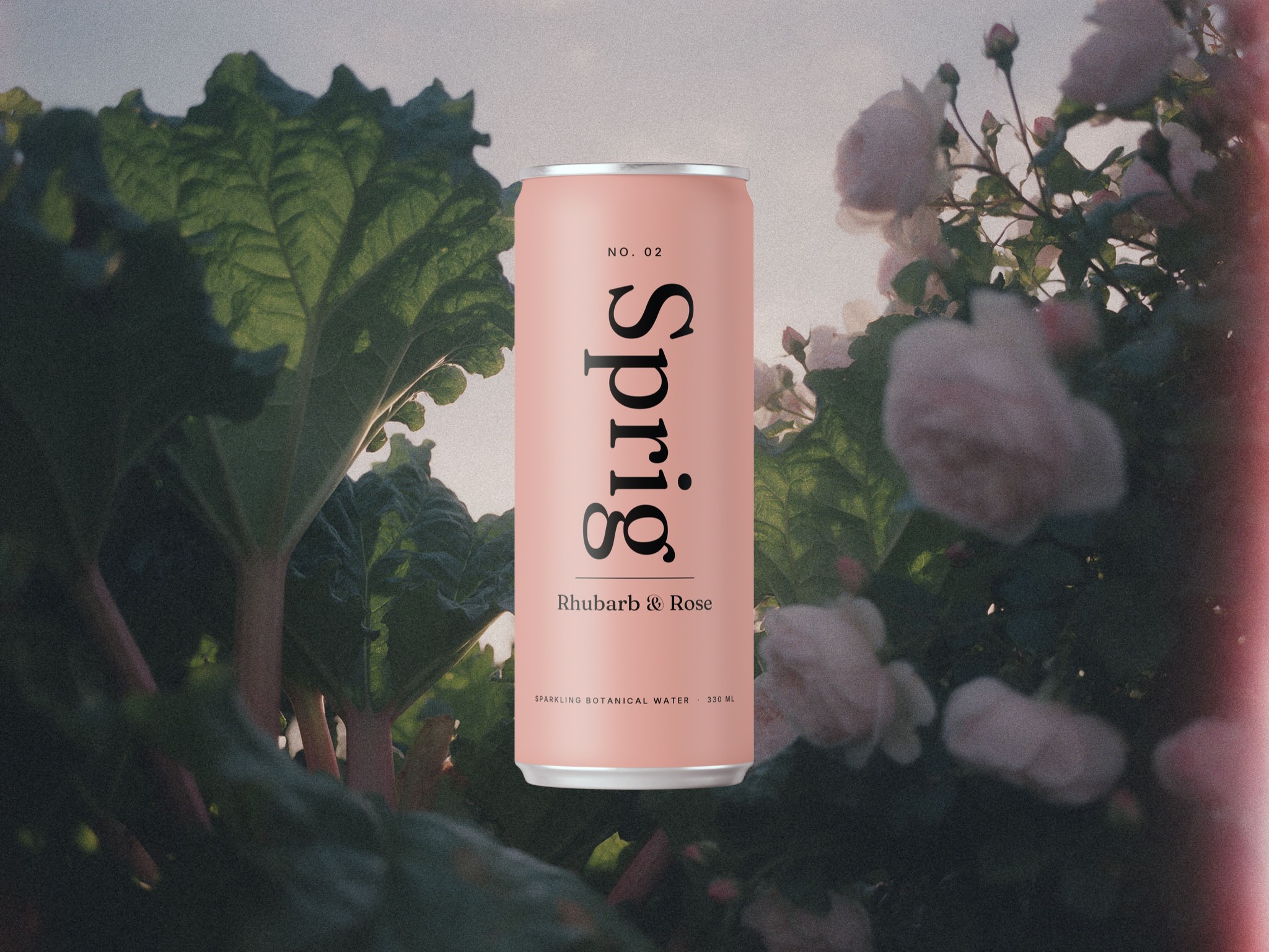 A pink Sprig Rhubarb & Rose can in front of rhubarb leaves and garden roses