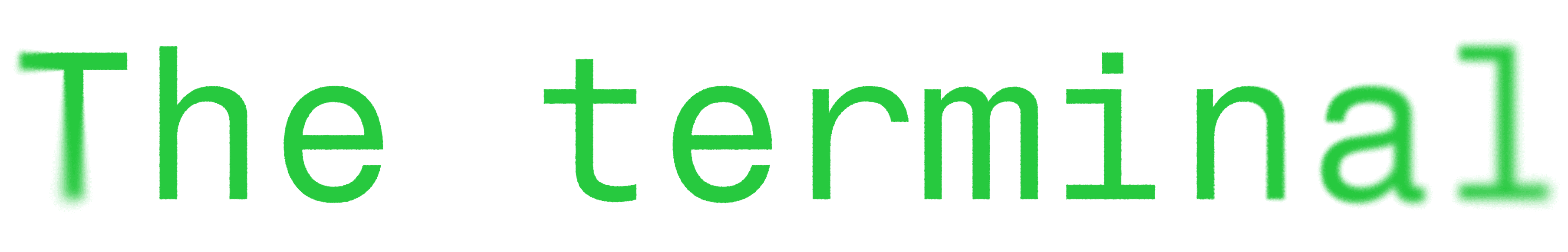 Terminal output image