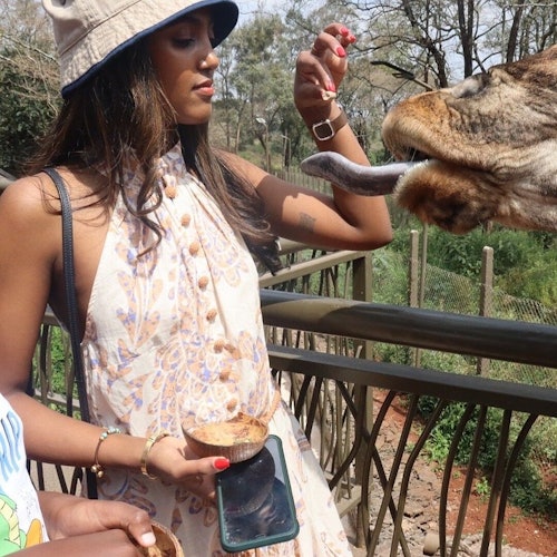 Feeding a giraffe at the giraffe center.