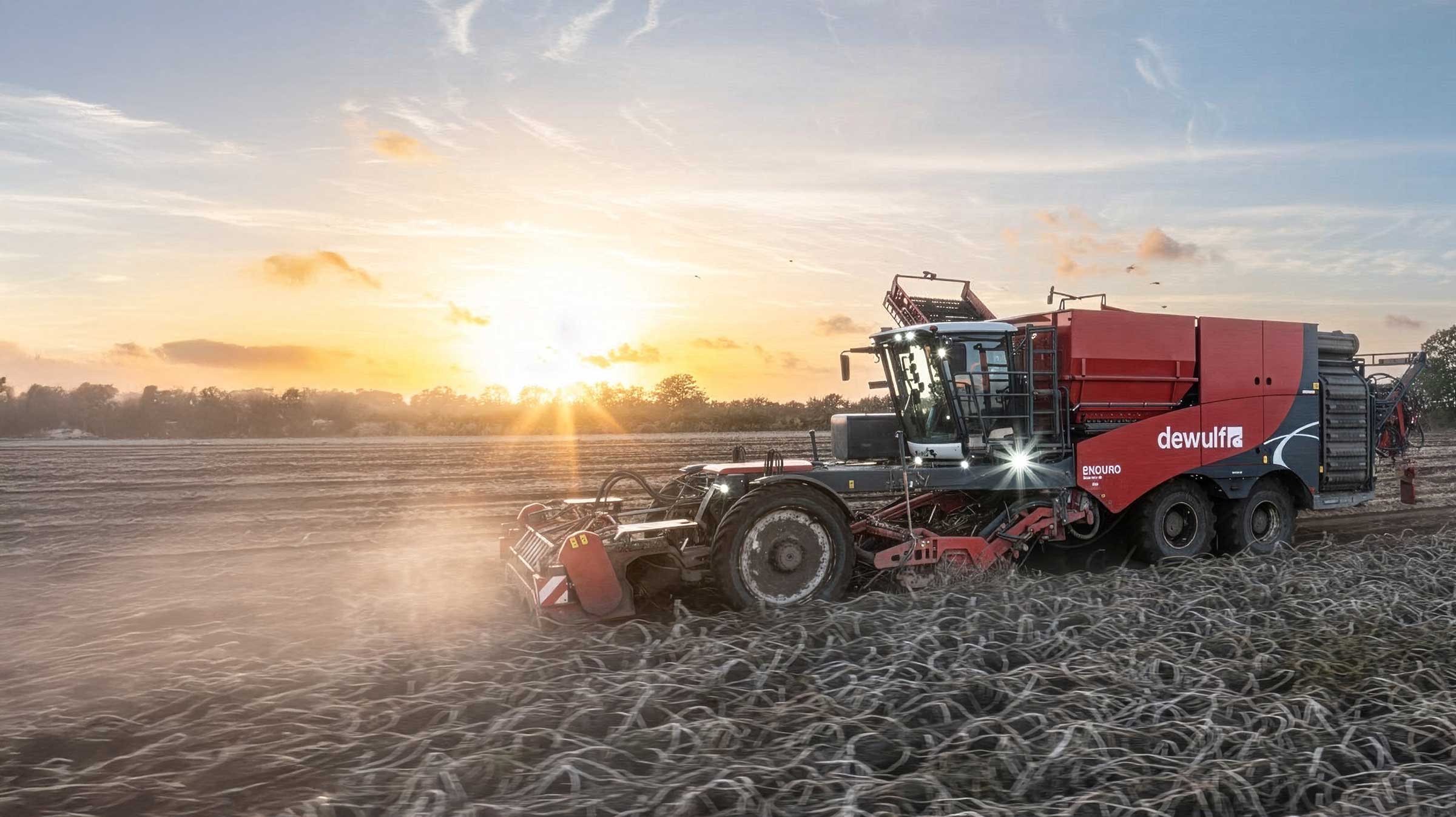 Dewulf Enduro potato harvester with lights on working in frosty field at sunrise