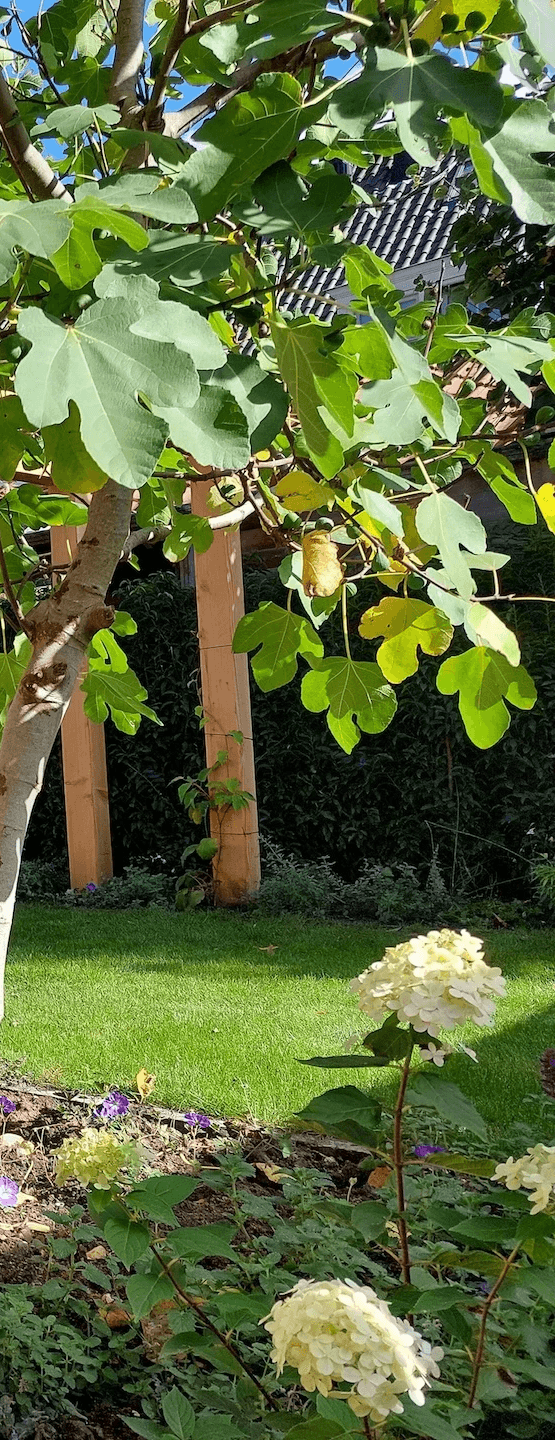 Art gardens - Boom en planten