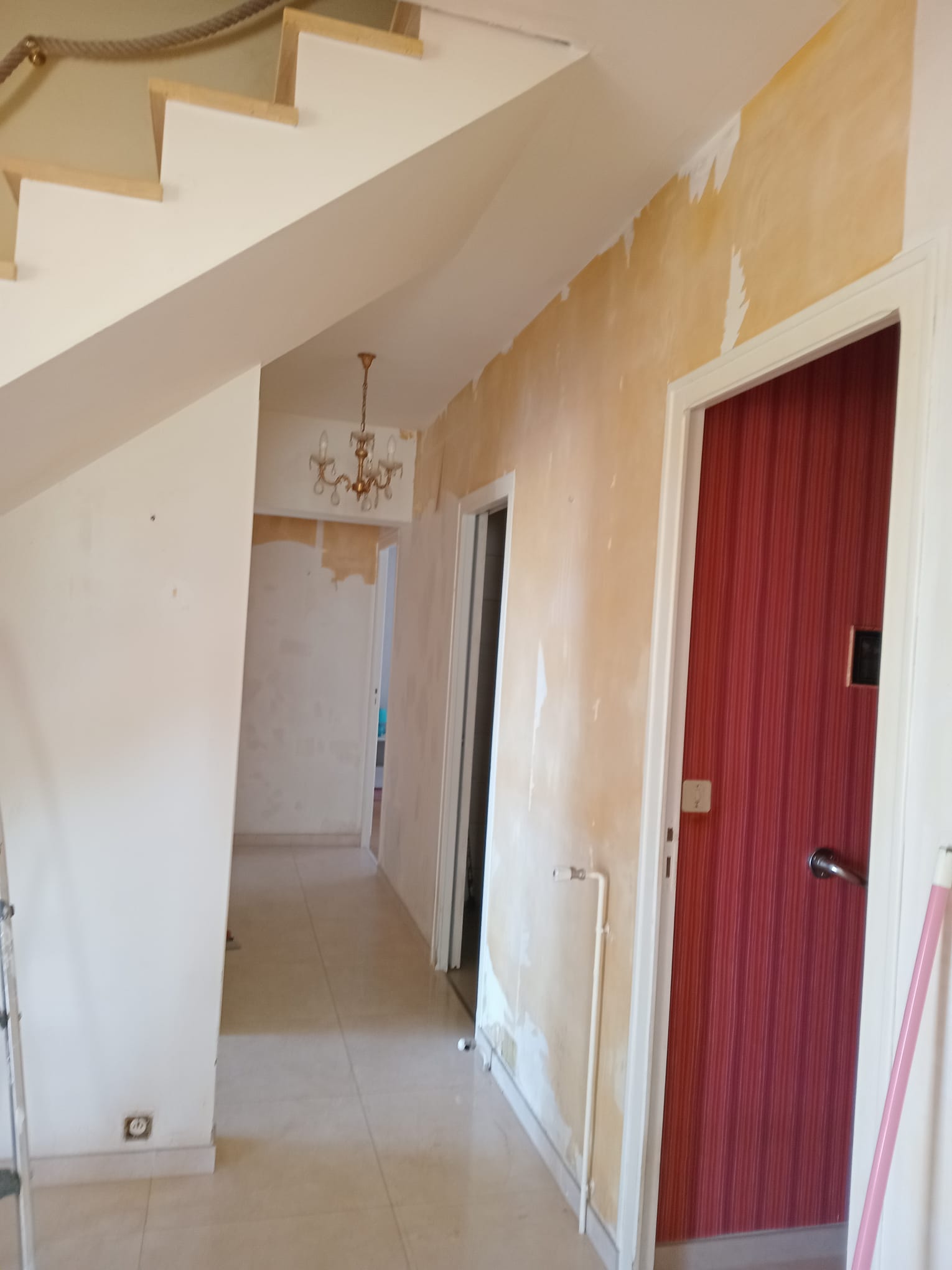 close up sur un pot de fleur rouge