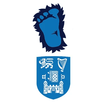 Bigfoot Script Challenge