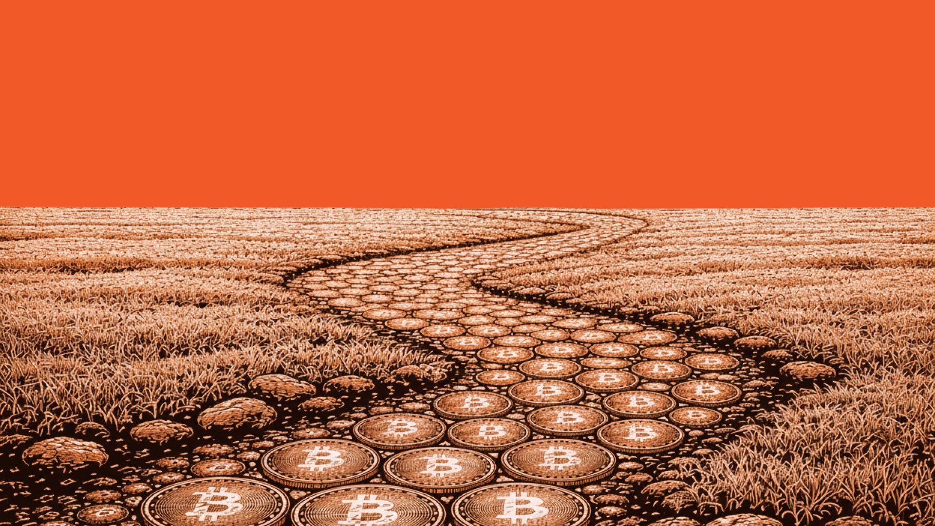 Fund update February 2026