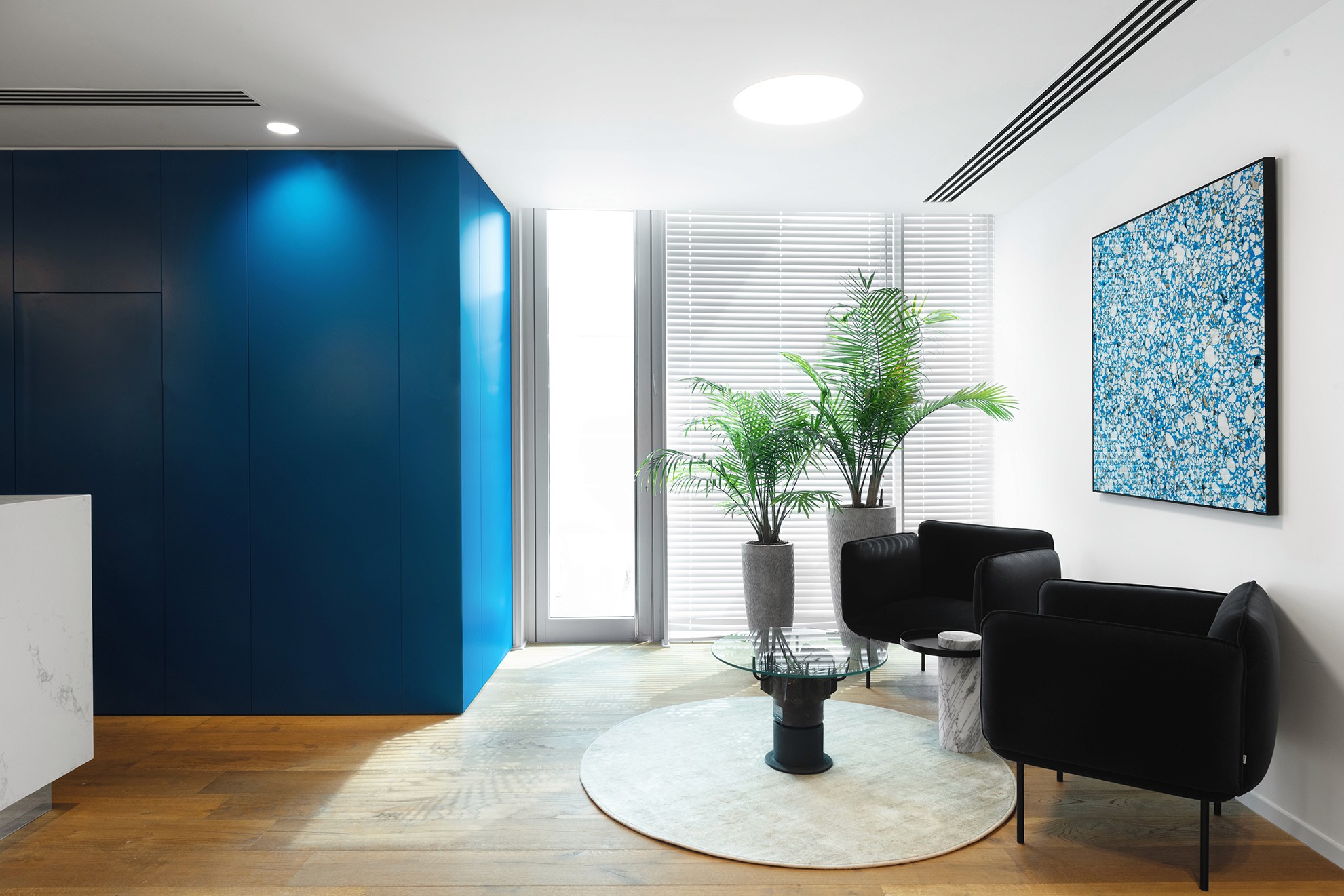 חדר ישיבות עם תקרה אקוסטית וריהוט בהתאמה אישית – עיצוב סביבת עבודה שקטה ונעימה