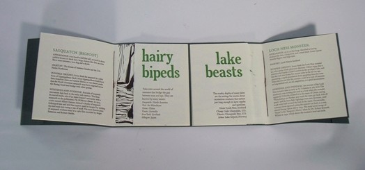 An unfurled book with some green titles and some text.