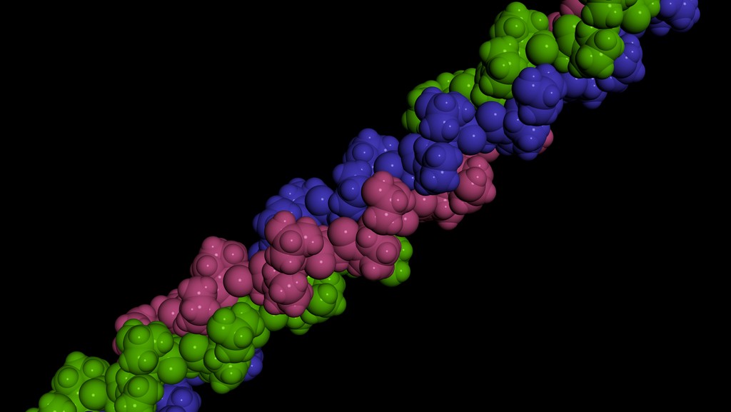 Collagen protein molecule