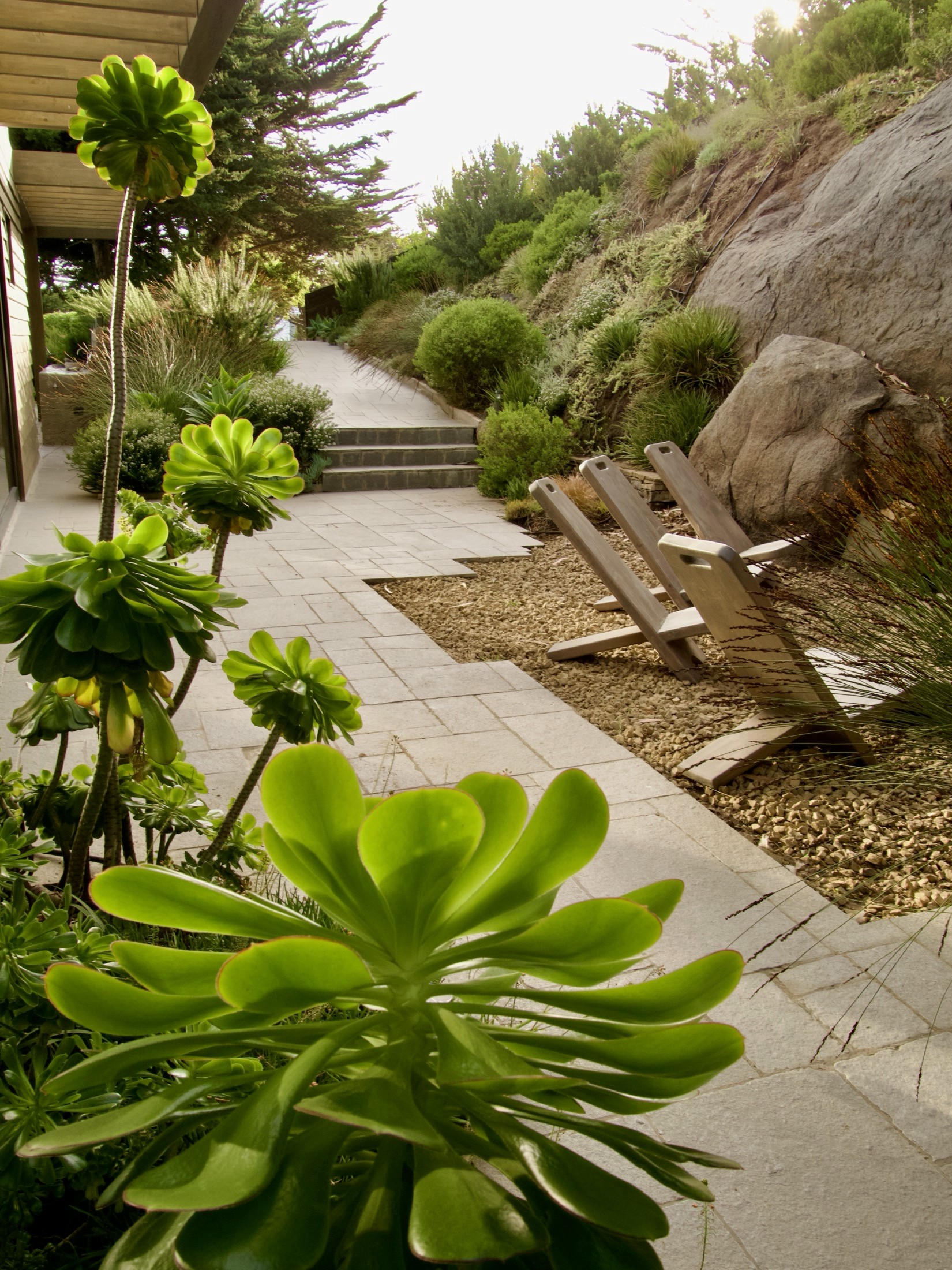 Carola Page Punta Pite Casa Nico