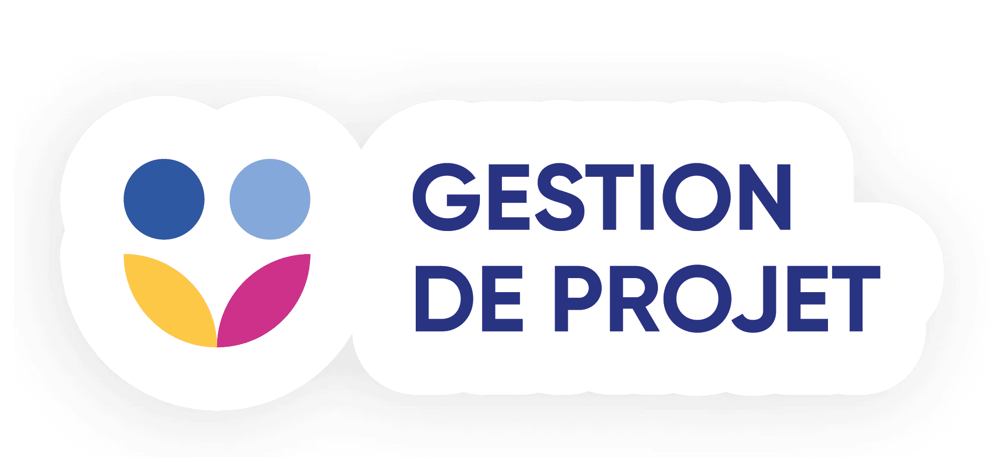 Icone de compétence gestion de projet 