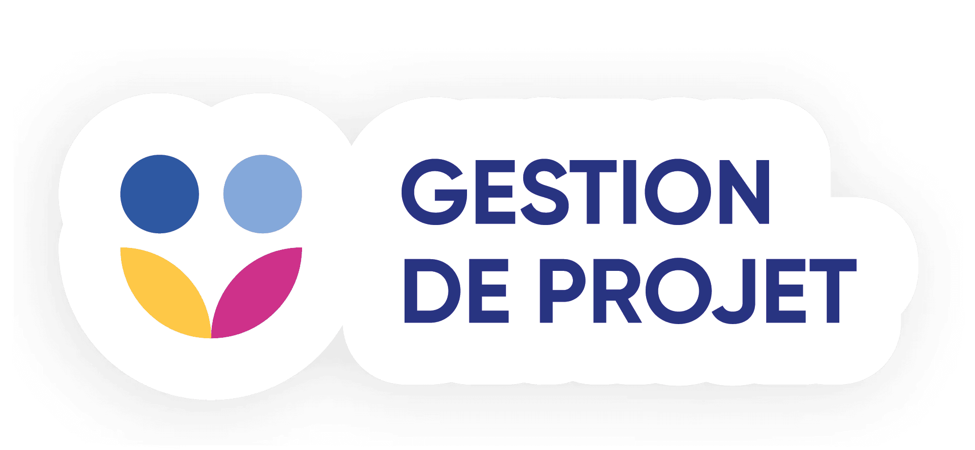 Icone de compétence gestion de projet