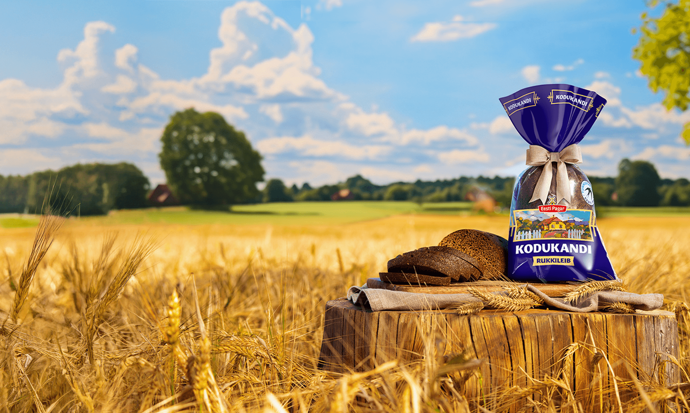 Featured Project Cover Image