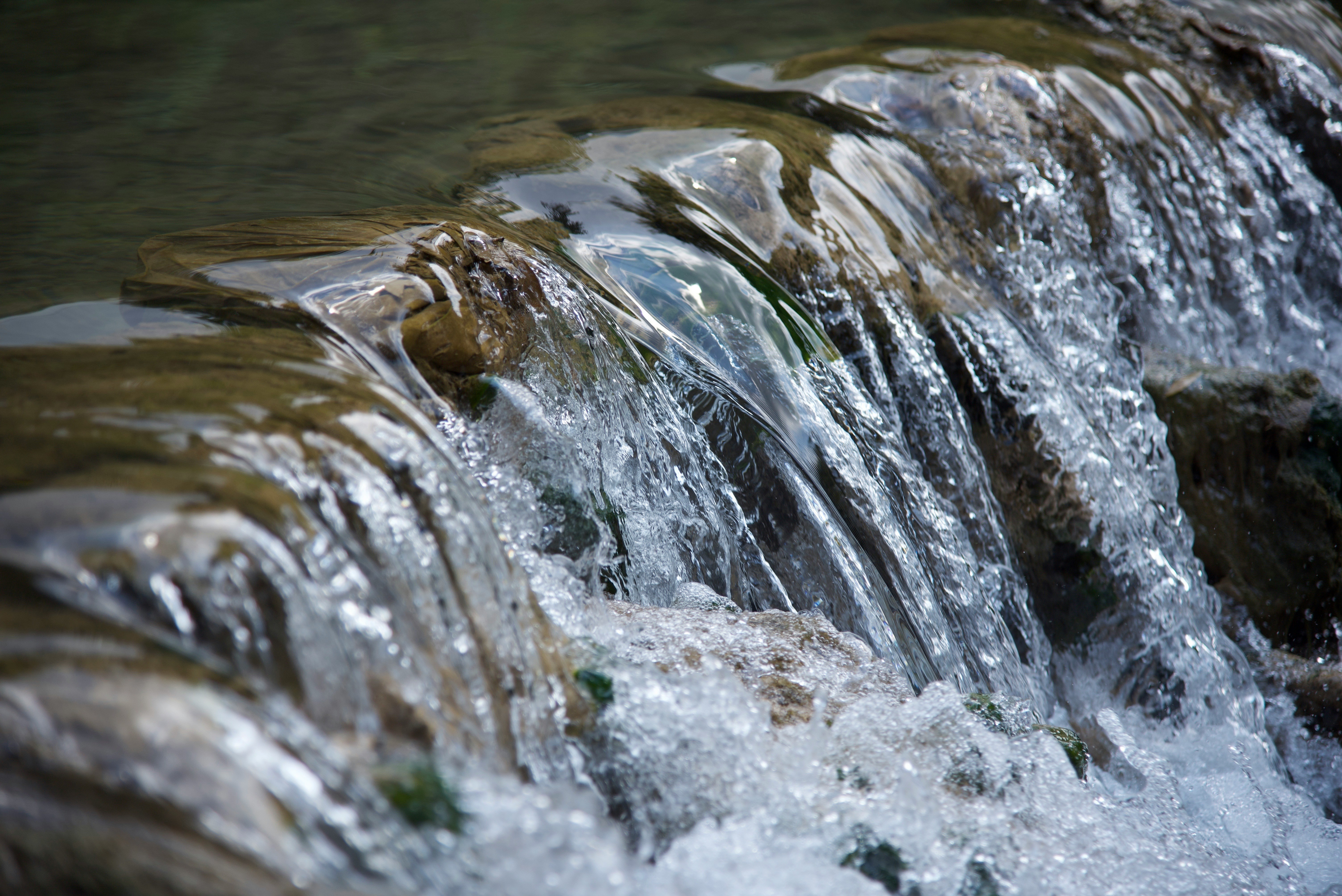 Water flowing from a spring.