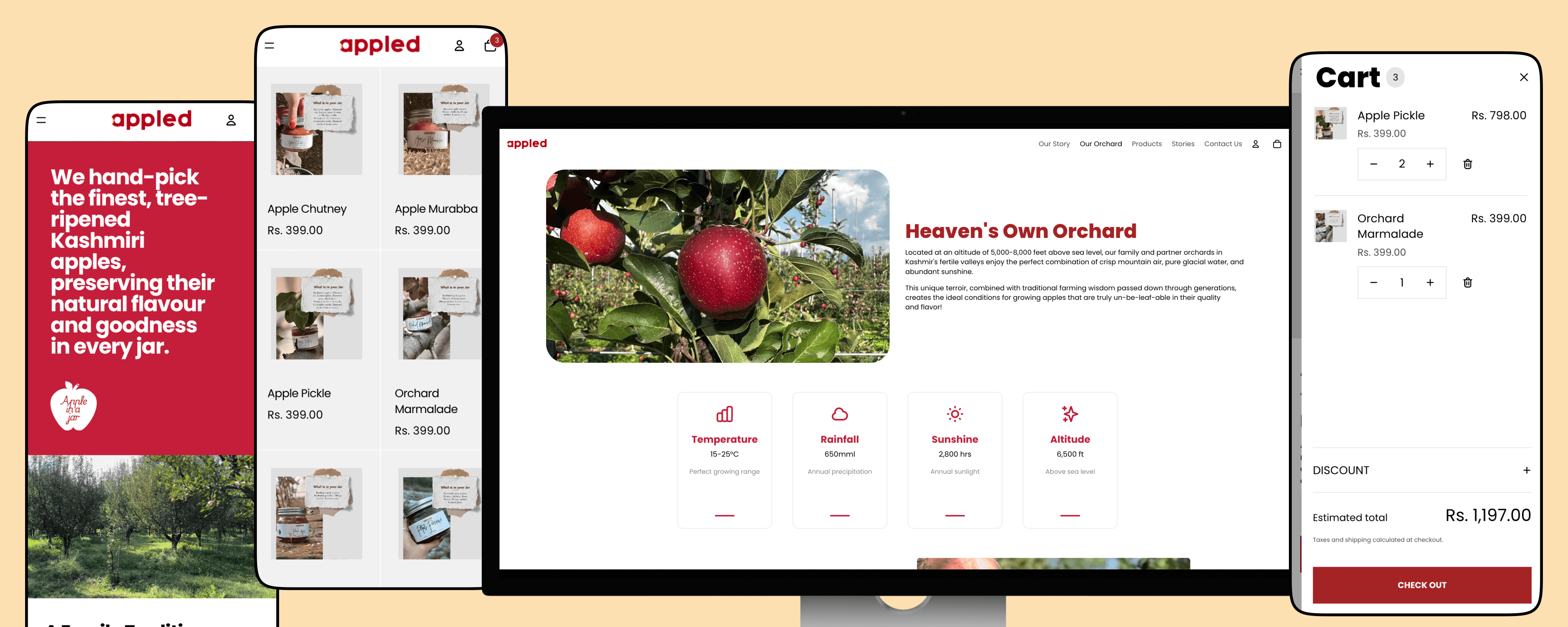 Project Content Image - 4