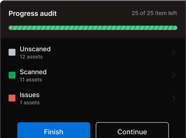 Asset Audit Progress