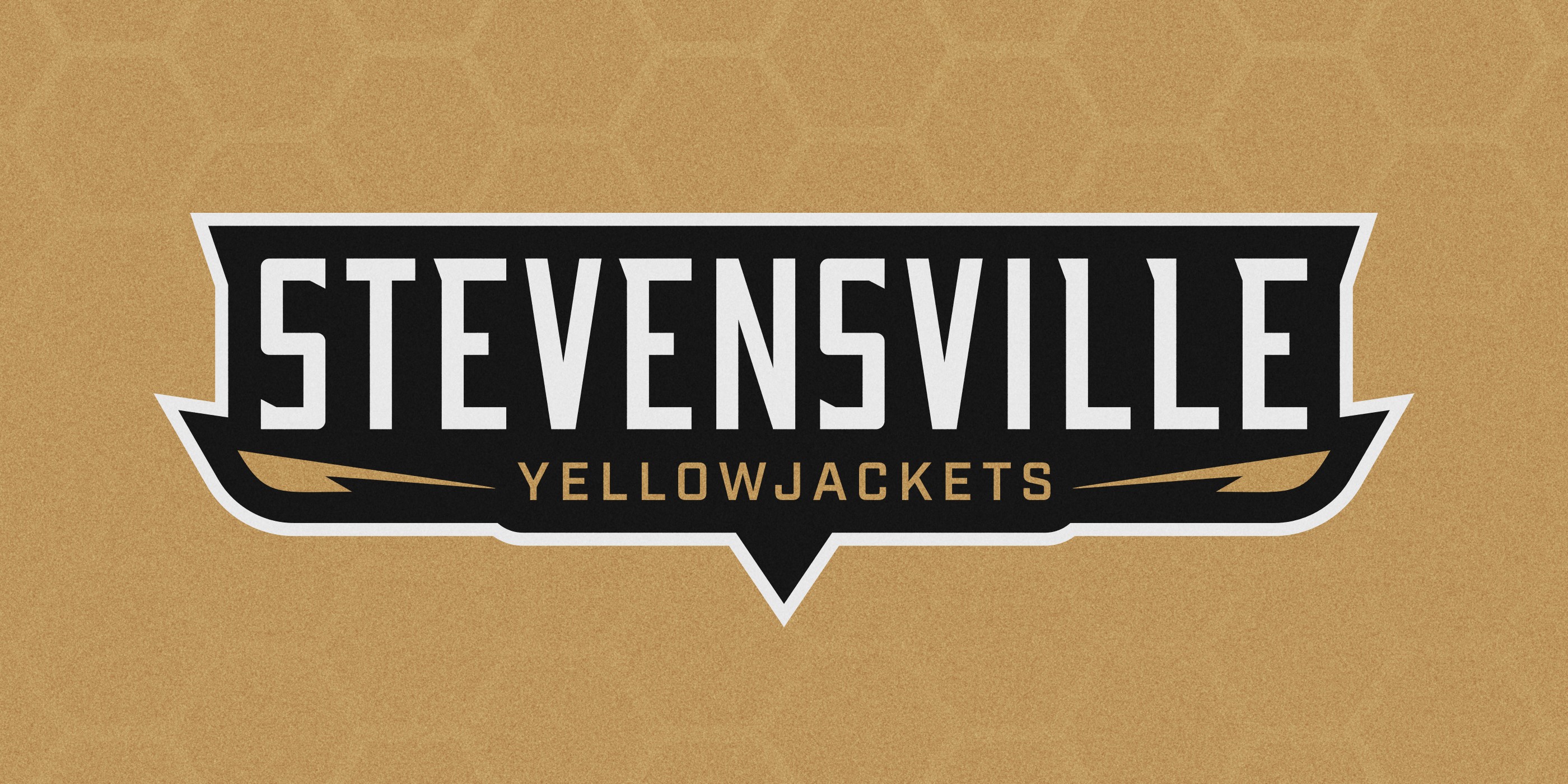 Stevensville School yellowjacket wordmark.