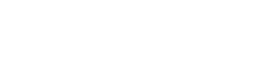 Fortex logo